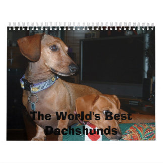 Calendrier Mural chiens regardant loin, les meilleurs teckels du