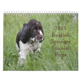 Calendrier Mural Chiots 2013 d'épagneul de springer anglais