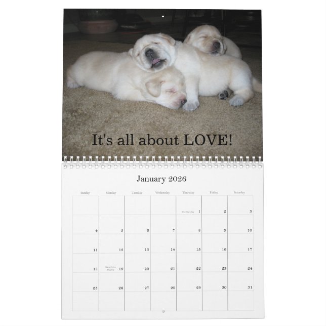 Calendrier Mural Chiots de laboratoire ! (Jan 2026)