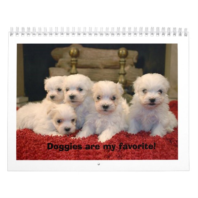 Calendrier Mural Chiots maltais (Protection)