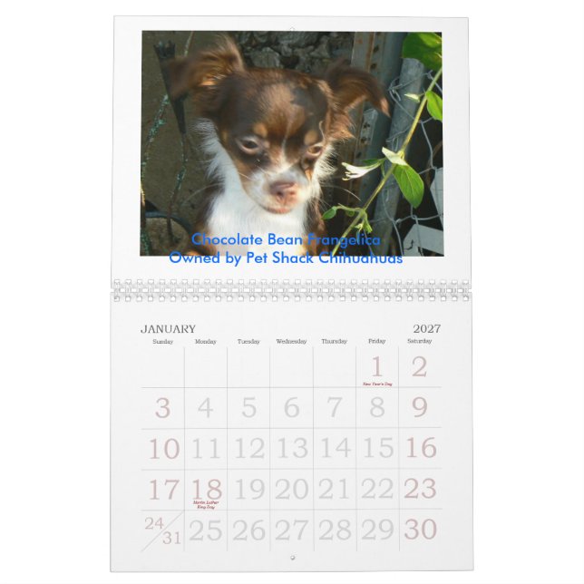 Calendrier Mural Chiwawa 2011 Calander (Jan 2027)