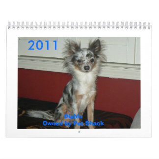 Calendrier Mural Chiwawa 2011 Calander