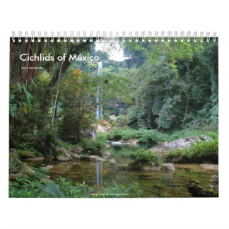Calendrier Mural Cichlids du Mexique