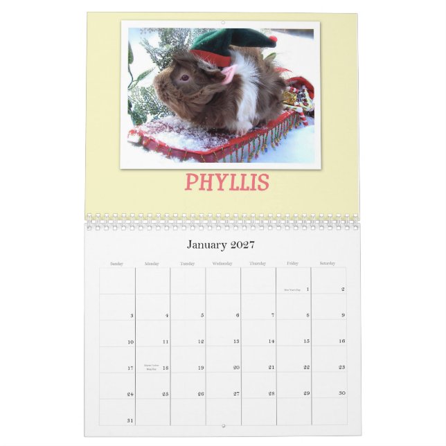 Calendrier Mural Cobayes 2013 (Jan 2027)
