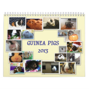 Calendrier Mural Cobayes 2013