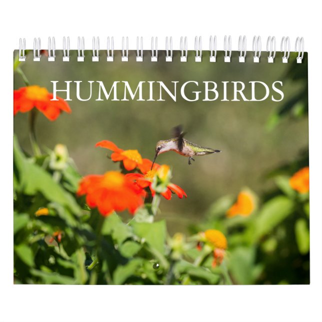 Calendrier Mural Colibri (Protection)