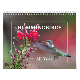 Calendrier Mural Colibris toute l'année