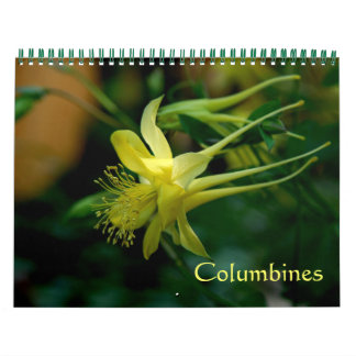Calendrier Mural Colonnes