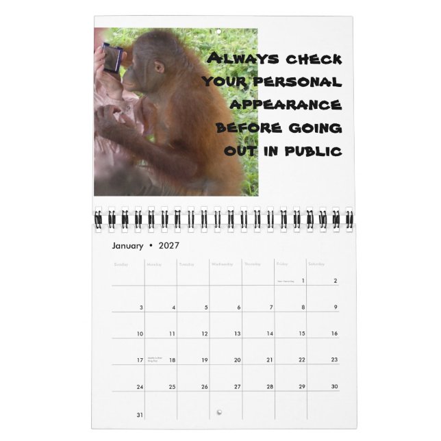 Calendrier Mural Conseil Romance Véritable Amour (Jan 2027)