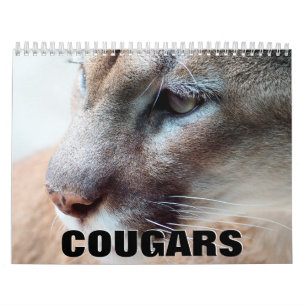 Calendrier mural Cougars 2022