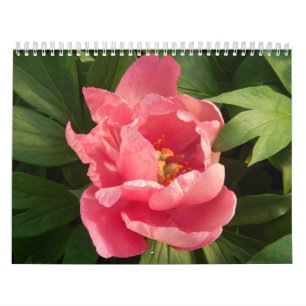 Calendrier Mural Couleur d'en du fotografía De Flores d'escroqueri