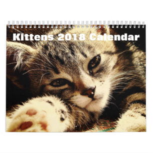 Calendrier Mural Cute Kittens 2018