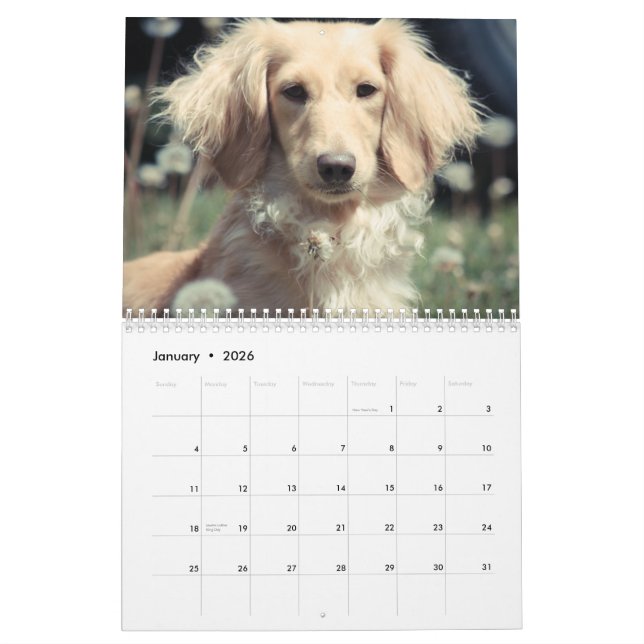 Calendrier Mural Dachshunds 2015 (Jan 2026)
