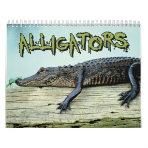 Calendrier mural d'alligators