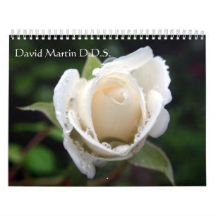Calendrier Mural David Martin D.D.S. Calendar