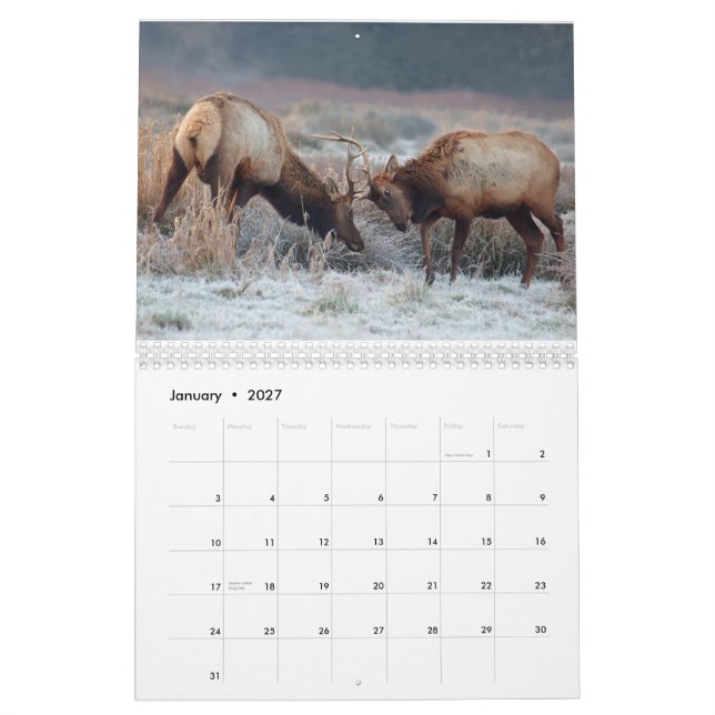 Calendrier mural de cerfs communs et d'élans 2015 (Jan 2027)