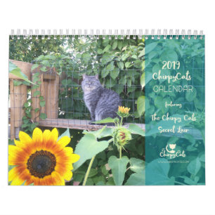 Calendrier mural de chat