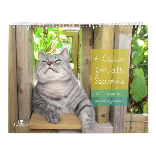 Calendrier mural de chat 2017 (Protection)