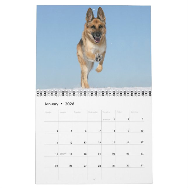 Calendrier mural de chien de berger allemand (Jan 2026)
