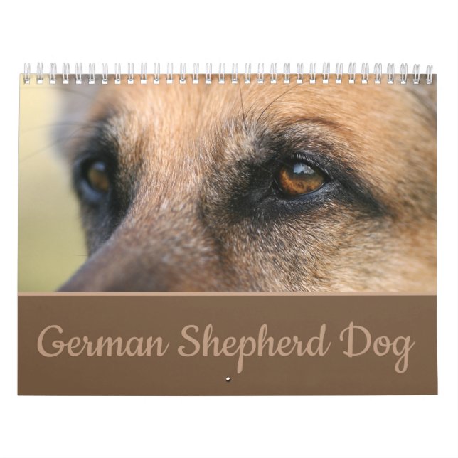 Calendrier mural de chien de berger allemand (Protection)