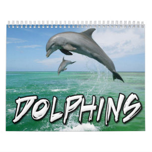 Calendrier mural de dauphins