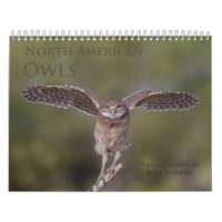 Calendrier mural de hibou de 2019 Nord-américains
