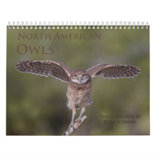 Calendrier mural de hibou de 2019 Nord-américains
