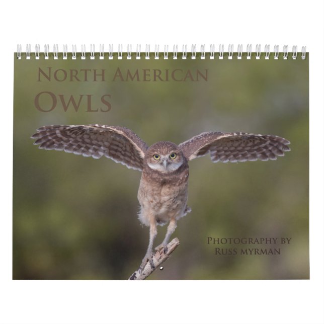 Calendrier mural de hibou de 2019 Nord-américains (Protection)