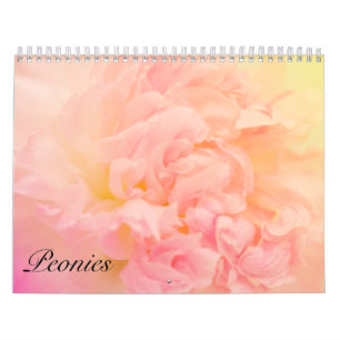 Calendrier Mural De jolies pivoines