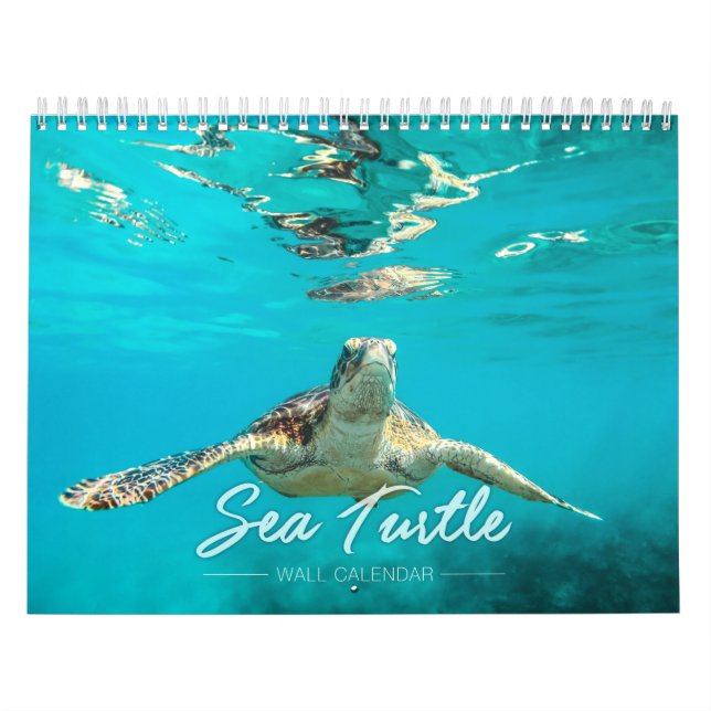 Calendrier mural de la tortue de mer 2019 (Protection)