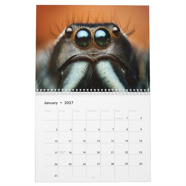 Calendrier mural de Macro-Insectes (Jan 2027)