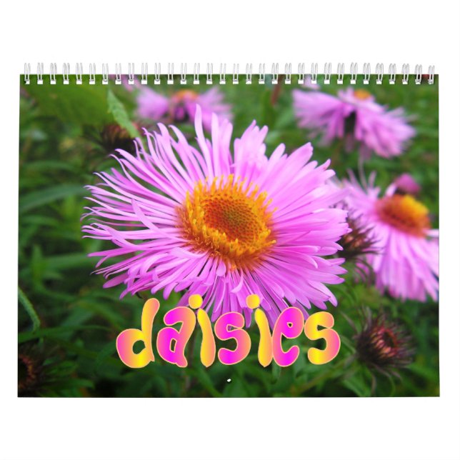 Calendrier mural de marguerites (Protection)