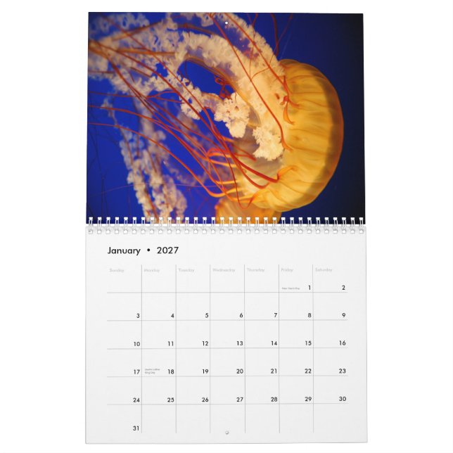 Calendrier mural de méduses (Jan 2027)