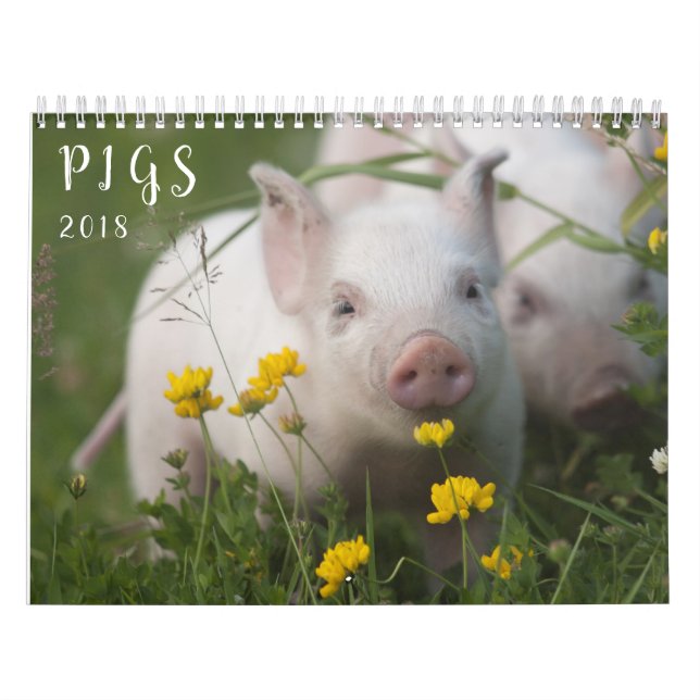 Calendrier mural de porcs - sourire en 2018 (Protection)