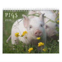 Calendrier mural de porcs - sourire en 2018