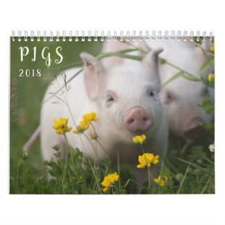 Calendrier mural de porcs - sourire en 2018