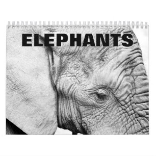 Calendrier mural des éléphants 2022