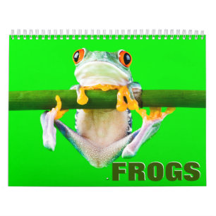 Calendrier mural des grenouilles