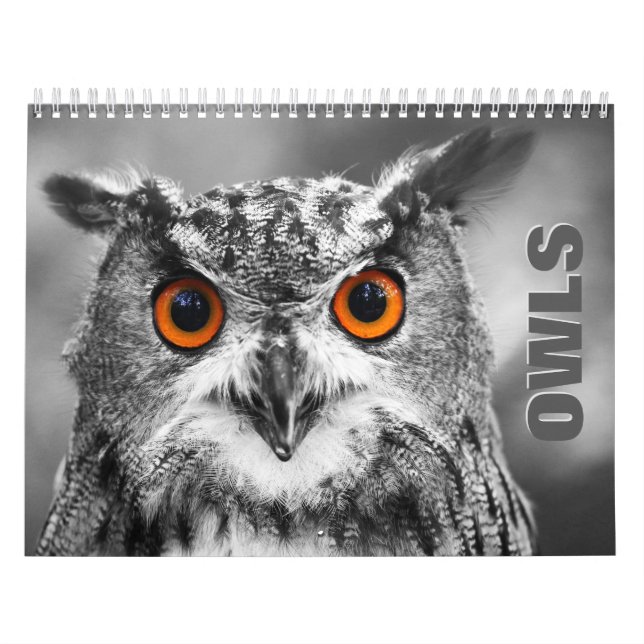 Calendrier mural des portraits de hibou (Protection)
