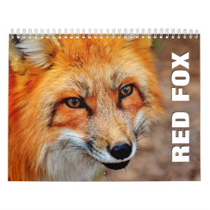 Calendrier mural des renards rouges