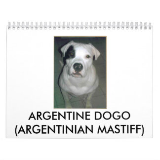Calendrier Mural Dogo argentin