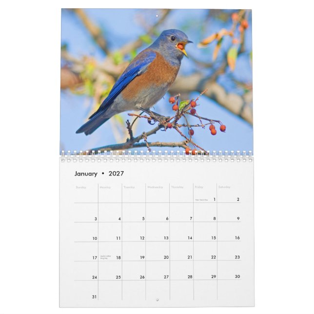 Calendrier mural d'oiseaux bleus (Jan 2027)