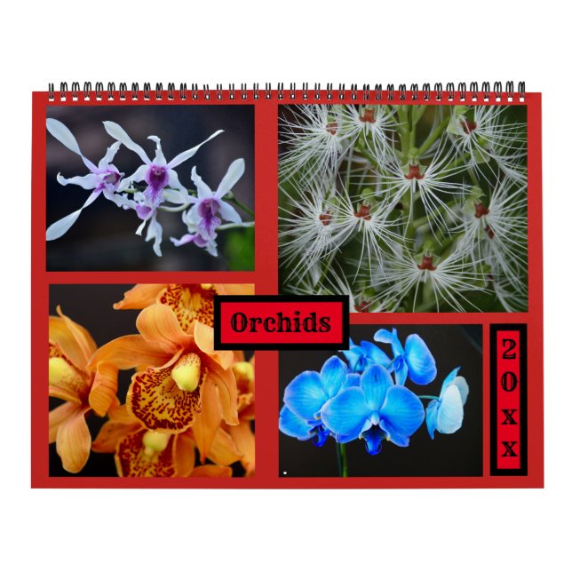 Calendrier mural d'orchidées (Protection)