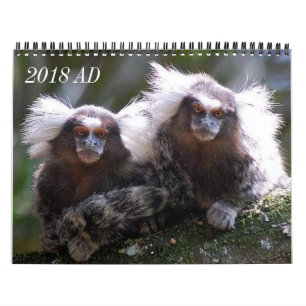 Calendrier Mural Douze singes