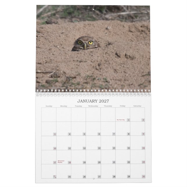 CALENDRIER MURAL DSC_2816, 2011 (Jan 2027)