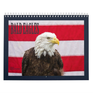 Calendrier Mural Eagles chauve