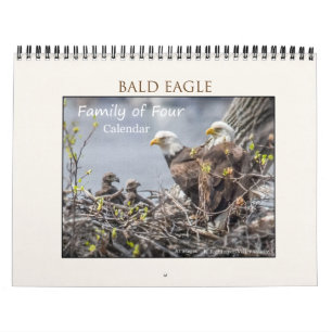 Calendrier Mural Famille d'Eagle chauve de quatre