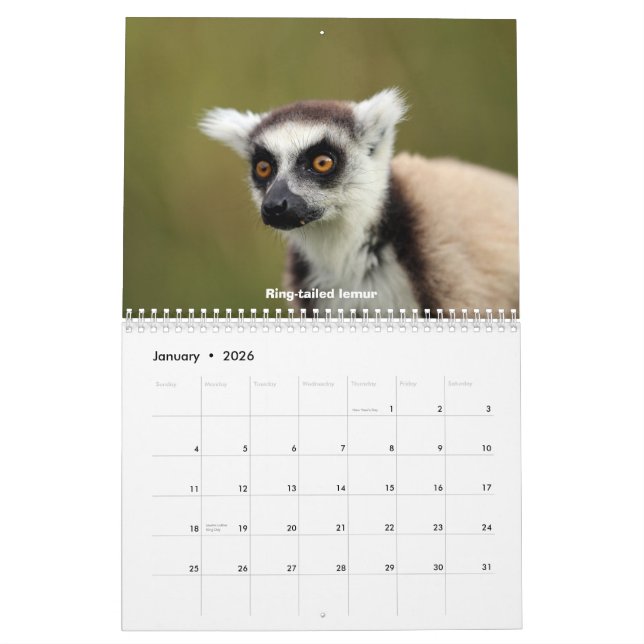 Calendrier Mural Faune du Madagascar (Jan 2026)