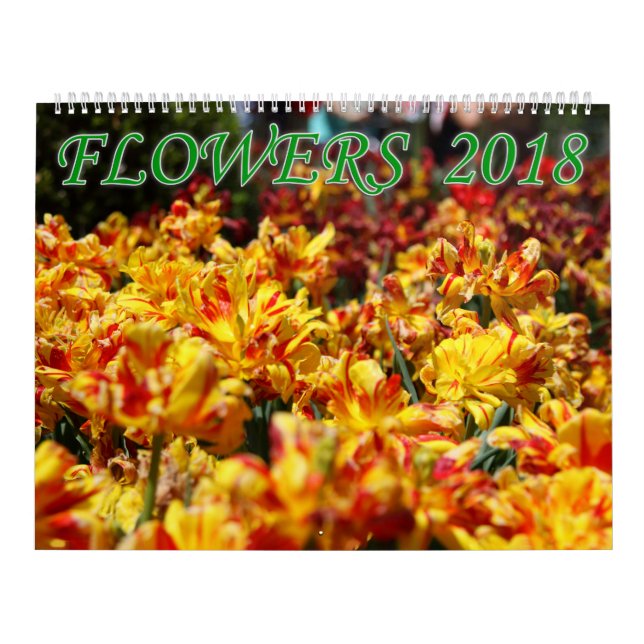 Calendrier Mural Fleurs 2018 (Protection)