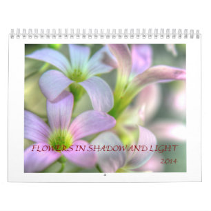Calendrier Mural Fleurs dans les ombres et la lumière
